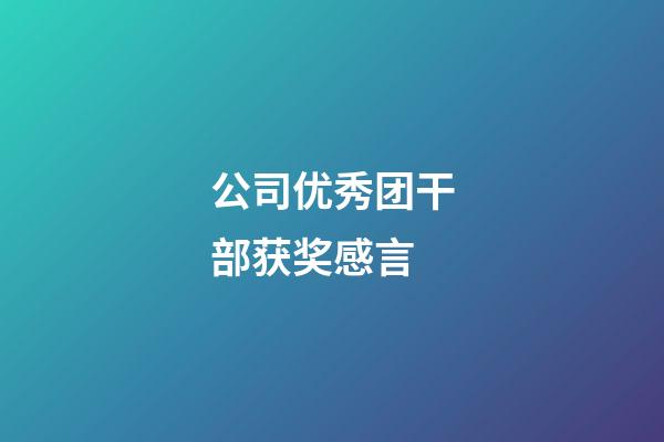 公司优秀团干部获奖感言