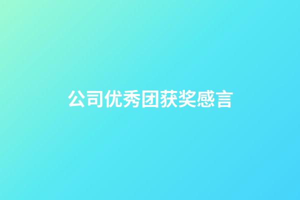 公司优秀团获奖感言