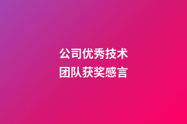 公司优秀技术团队获奖感言