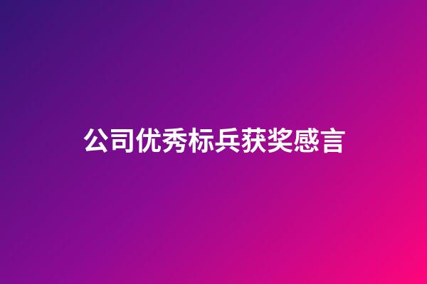 公司优秀标兵获奖感言