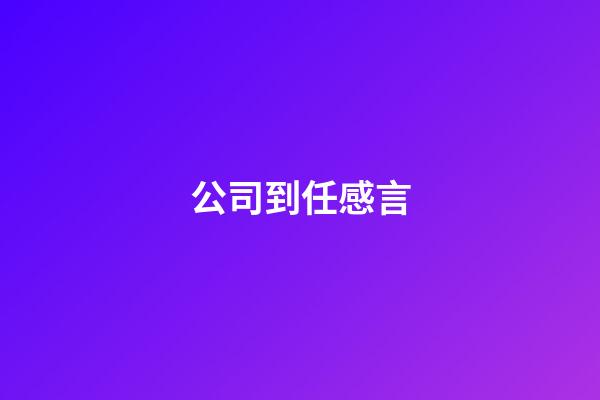 公司到任感言