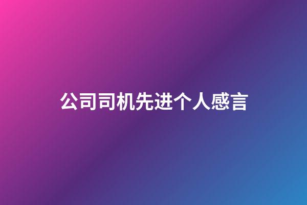 公司司机先进个人感言