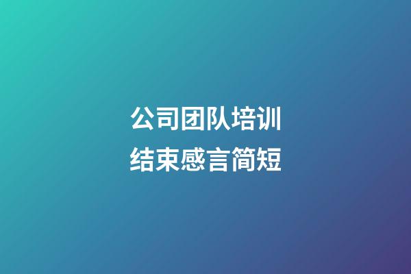 公司团队培训结束感言简短