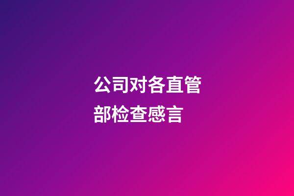 公司对各直管部检查感言