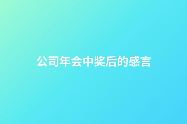 公司年会中奖后的感言