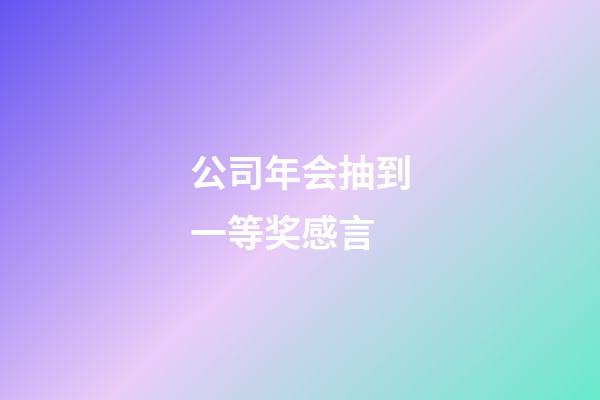 公司年会抽到一等奖感言