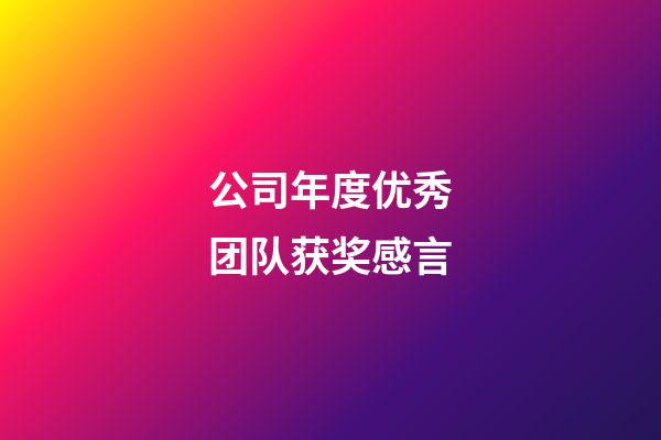 公司年度优秀团队获奖感言