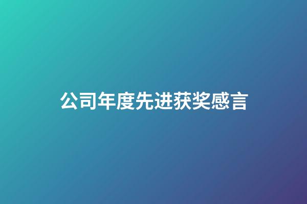 公司年度先进获奖感言