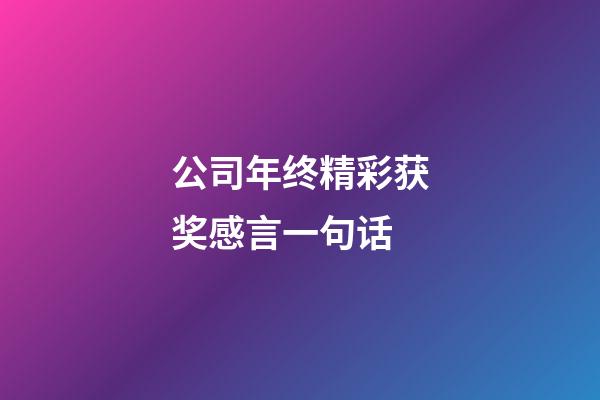 公司年终精彩获奖感言一句话