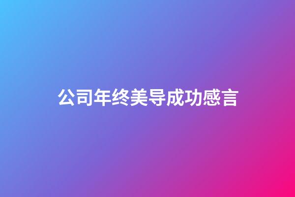 公司年终美导成功感言