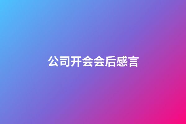 公司开会会后感言