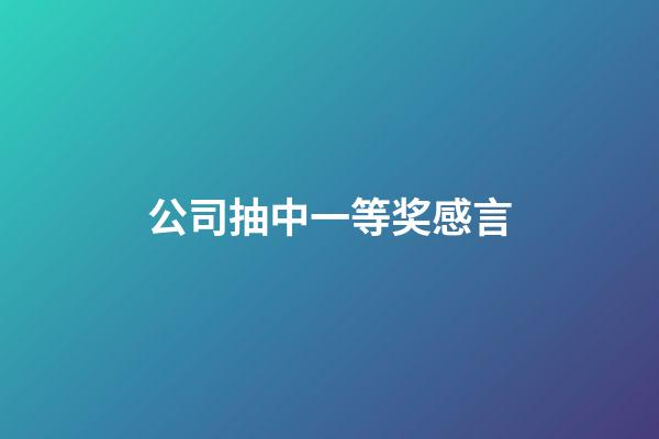 公司抽中一等奖感言