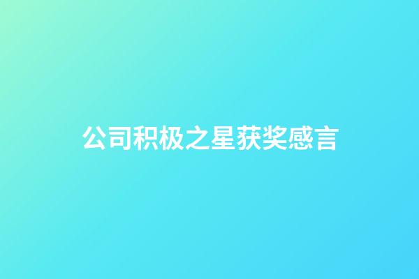 公司积极之星获奖感言