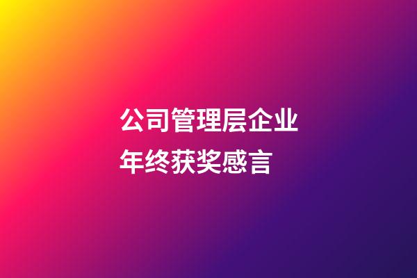 公司管理层企业年终获奖感言