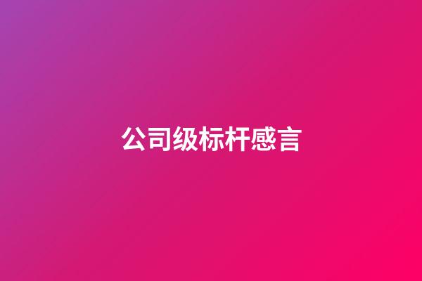 公司级标杆感言