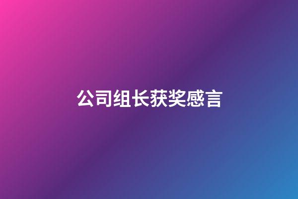 公司组长获奖感言