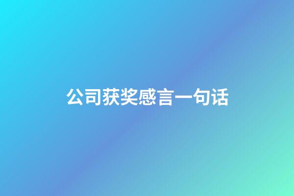 公司获奖感言一句话