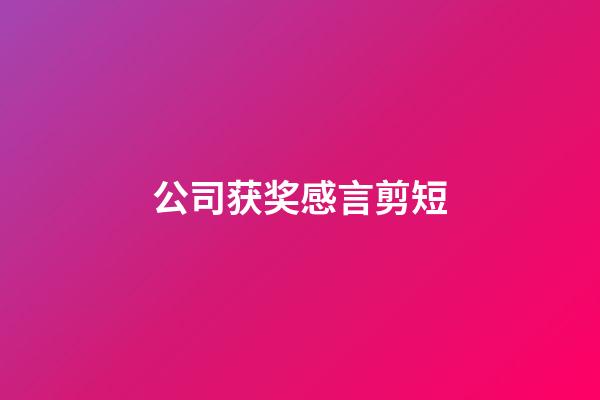 公司获奖感言剪短