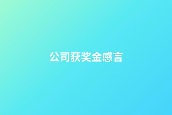 公司获奖金感言