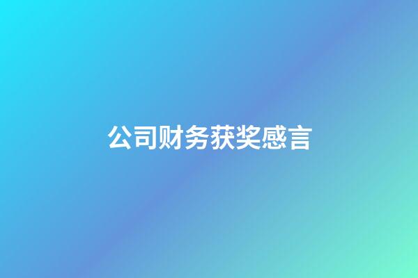 公司财务获奖感言