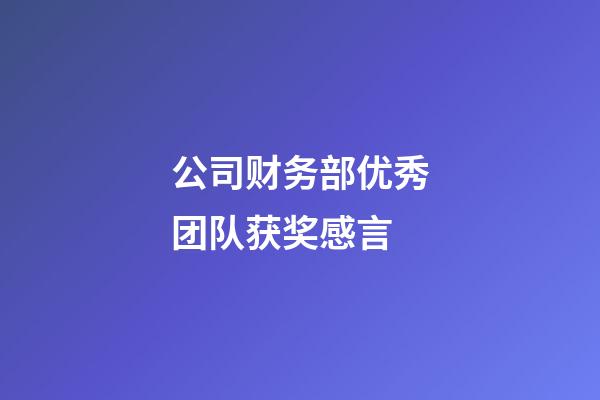 公司财务部优秀团队获奖感言