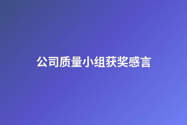 公司质量小组获奖感言