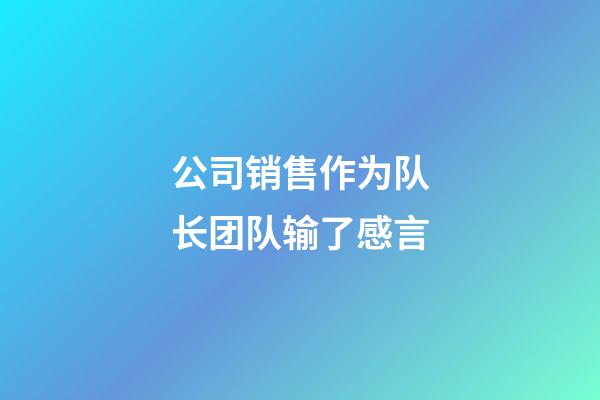 公司销售作为队长团队输了感言