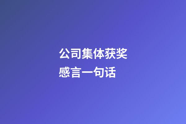 公司集体获奖感言一句话