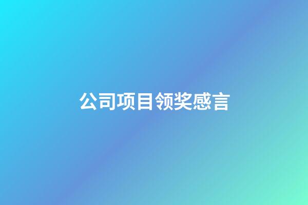 公司项目领奖感言