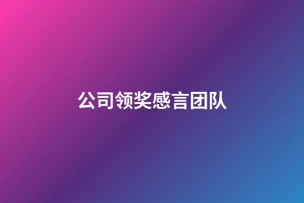 公司领奖感言团队