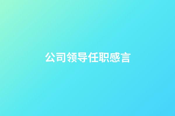 公司领导任职感言