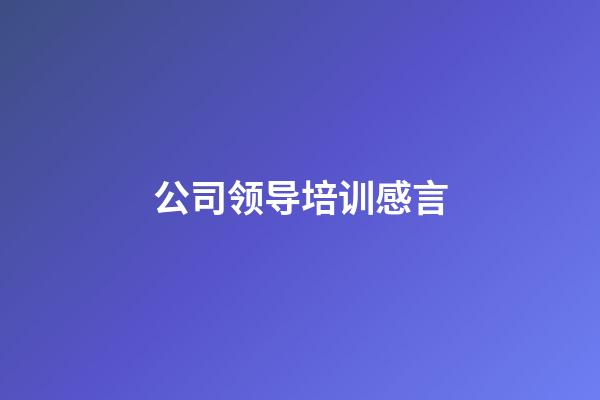 公司领导培训感言