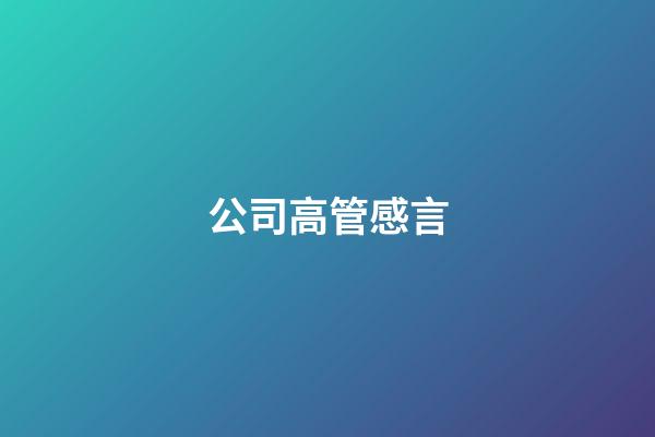 公司高管感言