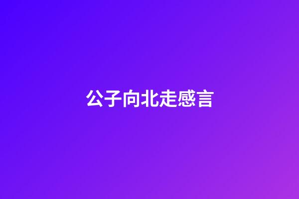 公子向北走感言