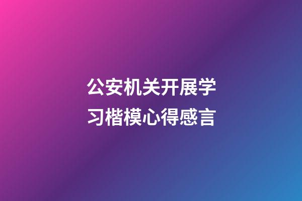 公安机关开展学习楷模心得感言