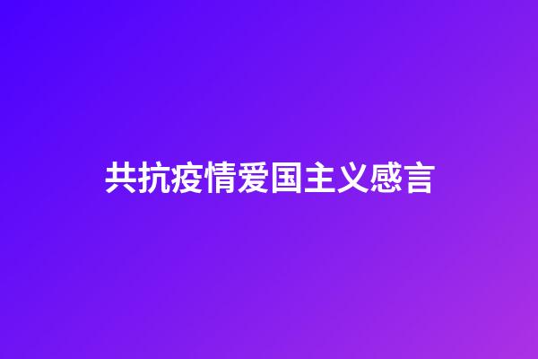 共抗疫情爱国主义感言