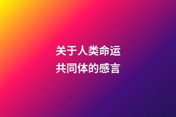 关于人类命运共同体的感言