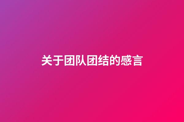 关于团队团结的感言