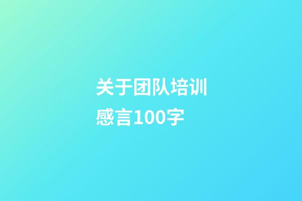 关于团队培训感言100字