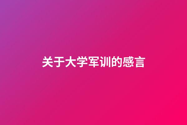 关于大学军训的感言