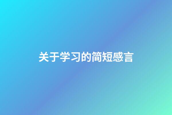 关于学习的简短感言