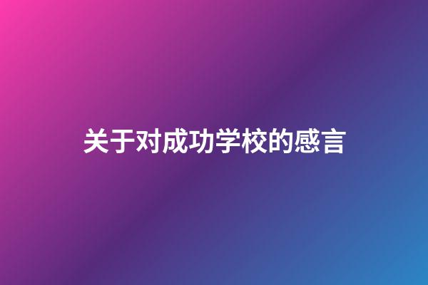 关于对成功学校的感言