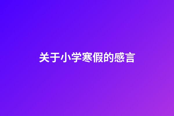 关于小学寒假的感言