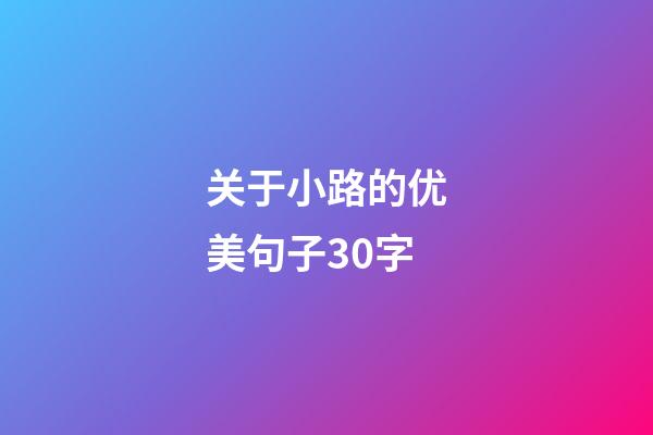 关于小路的优美句子30字