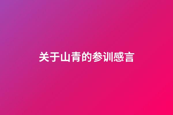 关于山青的参训感言