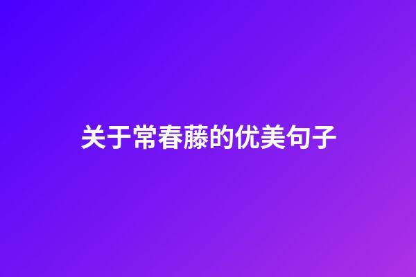 关于常春藤的优美句子