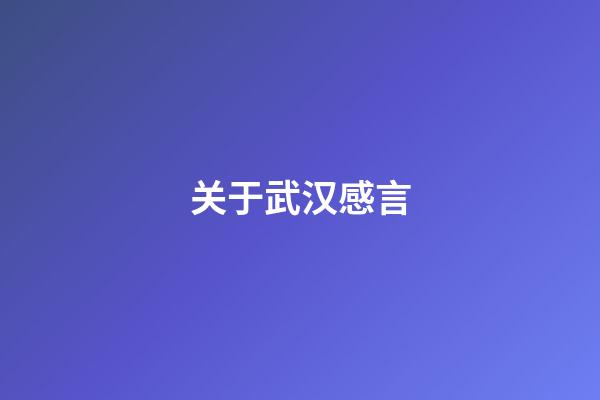 关于武汉感言