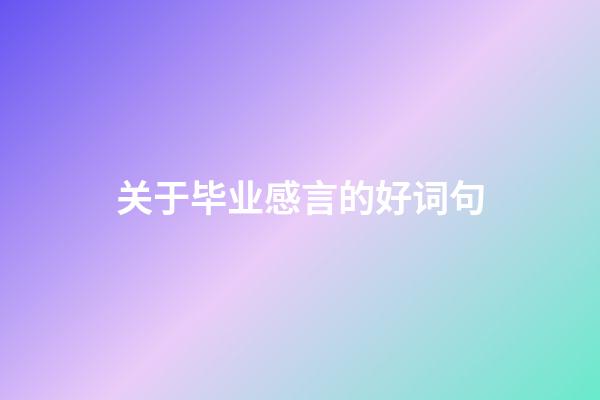 关于毕业感言的好词句