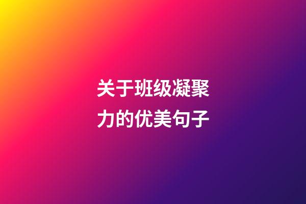 关于班级凝聚力的优美句子