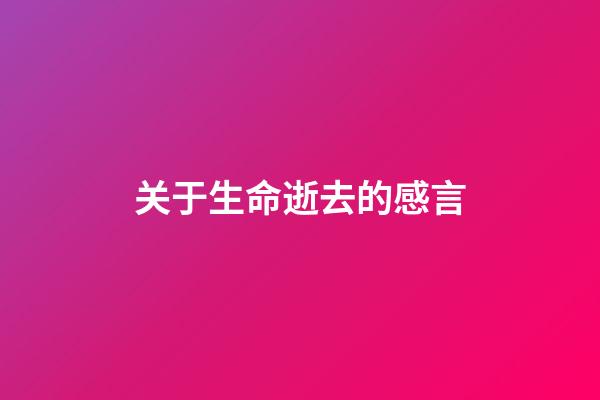 关于生命逝去的感言